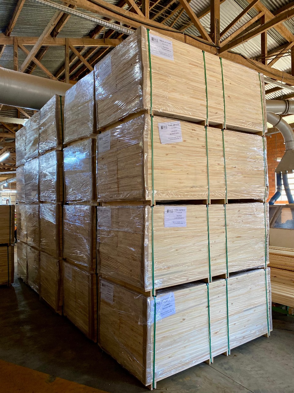 WhatsApp Image 2024-10-21 at 15.10.29 (2).jpeg